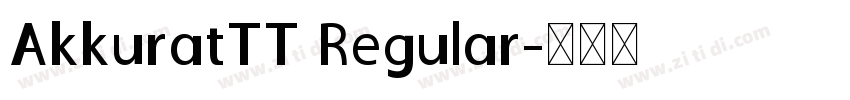 AkkuratTT Regular字体转换